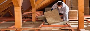 Best Crawl Space Insulation  in Alvarado, TX